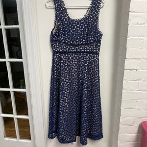 Elegant Navy Blue Lace Dress
